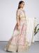 Picture of Amazing Organza Beige Lehenga Choli