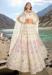 Picture of Wonderful Georgette & Net Linen Lehenga Choli