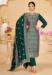 Picture of Shapely Chiffon Sea Green Straight Cut Salwar Kameez