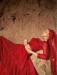 Picture of Classy Net & Organza Crimson Lehenga Choli