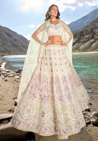 Picture of Shapely Net & Organza Linen Lehenga Choli