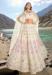 Picture of Shapely Net & Organza Linen Lehenga Choli