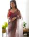 Picture of Amazing Organza Brown Saree