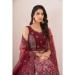 Picture of Fine Net Brown Lehenga Choli