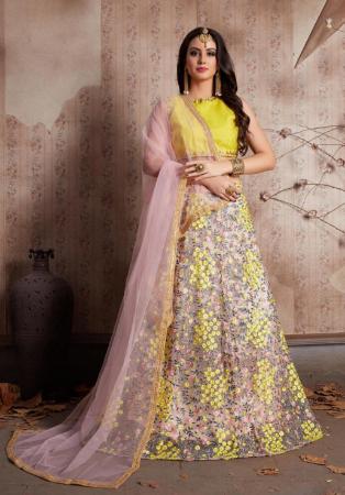 Picture of Charming Net Silver Lehenga Choli