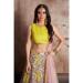 Picture of Charming Net Silver Lehenga Choli