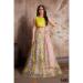 Picture of Charming Net Silver Lehenga Choli