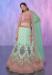 Picture of Delightful Net & Organza Rosy Brown Lehenga Choli