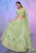 Picture of Bewitching Georgette & Net Dark Khaki Lehenga Choli