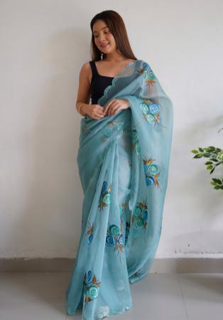 Picture of Ideal Organza Cadet Blue Saree