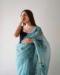 Picture of Ideal Organza Cadet Blue Saree