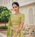 Picture of Magnificent Chiffon Dark Khaki Lehenga Choli