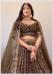 Picture of Nice Net Brown Lehenga Choli