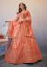 Picture of Exquisite Net Coral Lehenga Choli