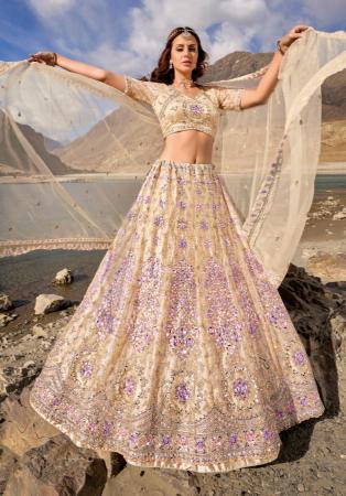 Picture of Appealing Georgette & Net Burly Wood Lehenga Choli