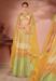 Picture of Nice Georgette & Net Peru Lehenga Choli