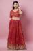 Picture of Superb Net Indian Red Designer Blouse