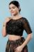 Picture of Alluring Net & Silk Black Designer Blouse