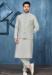 Picture of Resplendent Satin Silver Kurtas