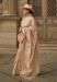 Picture of Alluring Organza Tan Saree