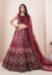 Picture of Fine Net Brown Lehenga Choli