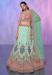 Picture of Georgette & Net Dark Sea Green Lehenga Choli