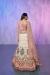 Picture of Beauteous Georgette & Net Sea Shell Lehenga Choli