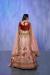 Picture of Elegant Georgette & Net Tan Lehenga Choli