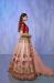 Picture of Elegant Georgette & Net Tan Lehenga Choli