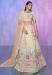 Picture of Charming Georgette & Net Sea Shell Lehenga Choli