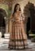 Picture of Excellent Silk Sienna Readymade Gown