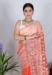 Picture of Enticing Organza Khaki Saree