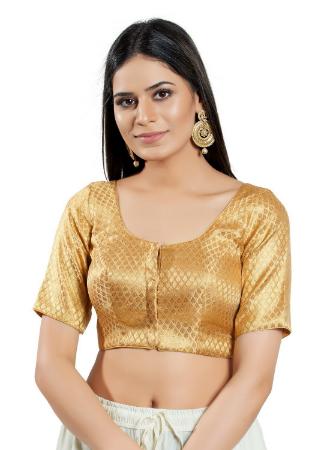 Picture of Pretty Brasso Peru Designer Blouse