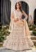 Picture of Good Looking Net Wheat Lehenga Choli