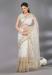 Picture of Splendid Georgette & Net Sea Shell Saree