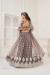 Picture of Elegant Net Dim Gray Lehenga Choli