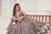 Picture of Elegant Net Dim Gray Lehenga Choli