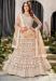 Picture of Shapely Net Beige Lehenga Choli