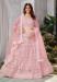 Picture of Taking Net Thistle Lehenga Choli