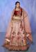 Picture of Elegant Georgette & Net Tan Lehenga Choli