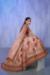 Picture of Elegant Georgette & Net Tan Lehenga Choli