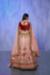 Picture of Elegant Georgette & Net Tan Lehenga Choli