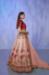 Picture of Elegant Georgette & Net Tan Lehenga Choli