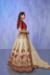 Picture of Wonderful Georgette & Net Ghost White Lehenga Choli