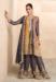 Picture of Charming Chiffon Grey Straight Cut Salwar Kameez