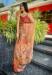 Picture of Classy Organza Tan Saree