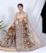 Picture of Pretty Organza Brown Saree