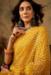 Picture of Resplendent Net Sandy Brown Saree