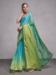 Picture of Stunning Organza Light Sea Green Saree