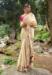 Picture of Magnificent Silk Tan Saree